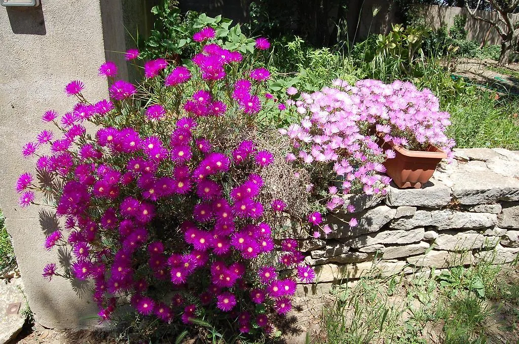 Villa Agriturismo Furfullanu à Nurallào Séjour à la ferme
